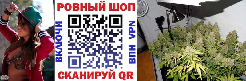 Купить Курчалой MEGA зеркало  ГЕРОИН  МЕФ  A PVP  Конопля 