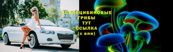 мет Протвино