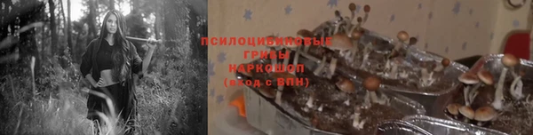 мяу мяу кристалл Алексин