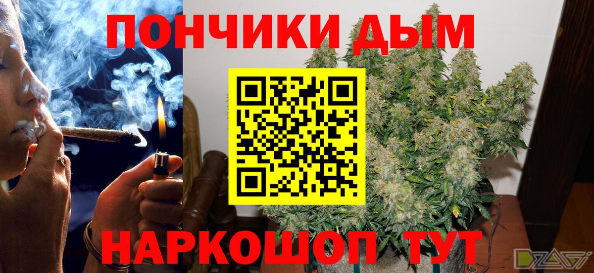 Каннабис OG Kush Курчалой